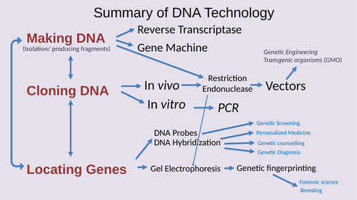 AQA A level Gene Technology
