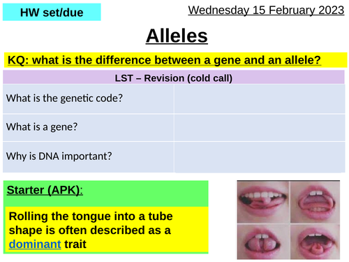 SB3 / CB3 - Alleles