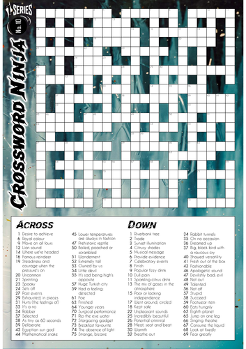 Crossword Ninja - Series 1 - No.10