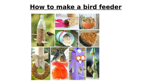 TWS The Write Stuff - How to make a bird feeder - instructions lesson pack