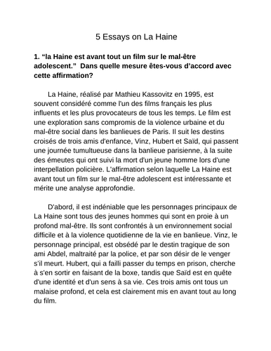 essay questions la haine