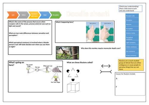 Perception doodle sheet GCSE Psychology