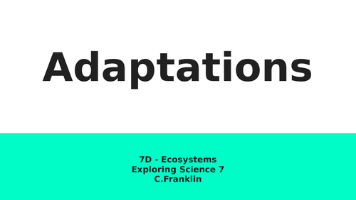 7D - Adaptations