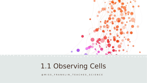 B1.1 Observing Cells