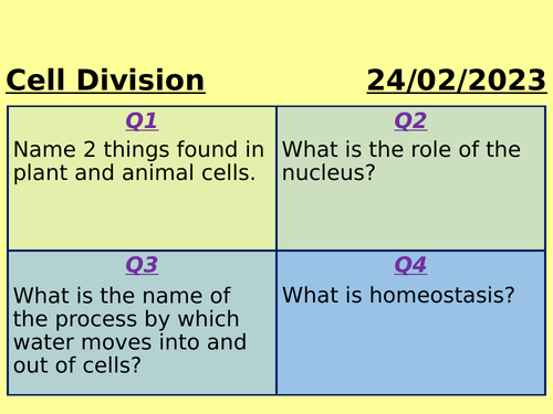 Cell Division Revision