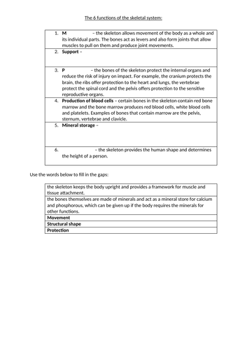 AQA GCSE PE - anatomy and physiology