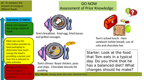 Year 8 Food Energy Double Lesson