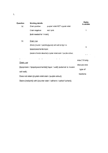 WJEC 3.4 Microbiology