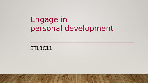 STL3C11 Professional Development