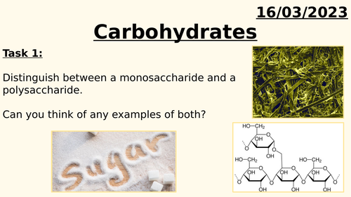 AQA A LEVEL BIOLOGY - CARBOHYDRATES