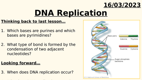 AQA A LEVEL BIOLOGY - DNA REPLICATION | Teaching Resources