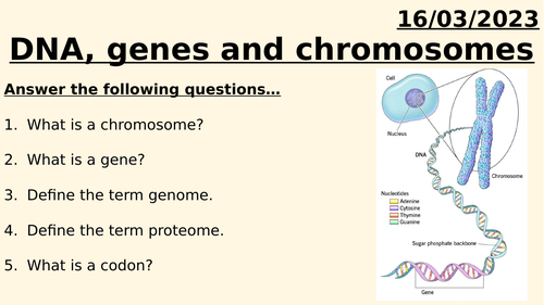 AQA A LEVEL BIOLOGY - DNA, GENES AND CHROMOSOMES