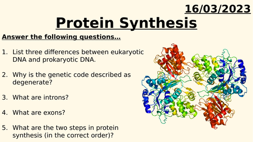AQA A LEVEL BIOLOGY - PROTEIN SYNTHESIS