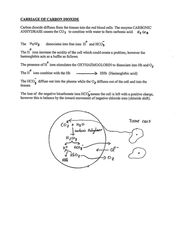 A LEVEL MASS TRANSPORT