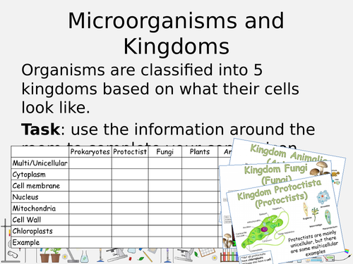 The 5 Kingdoms of Classification Gallery Walk Activity