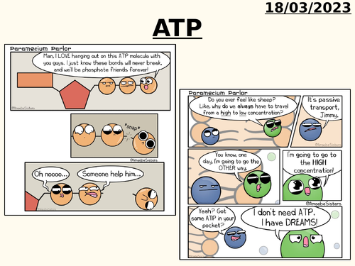 AQA A LEVEL BIOLOGY - ATP