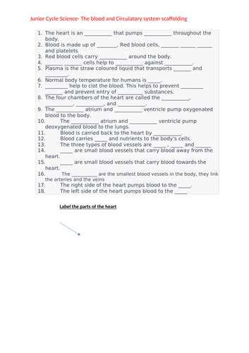 The Blood and Heart Scaffolding worksheet Junior Cycle Science