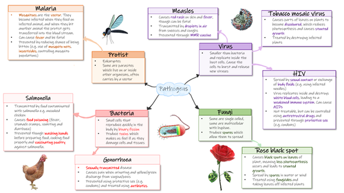 GCSE Communicable diseases mind map