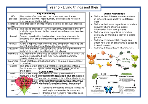 ALL Year 5 ScienceKnowledge Organisers