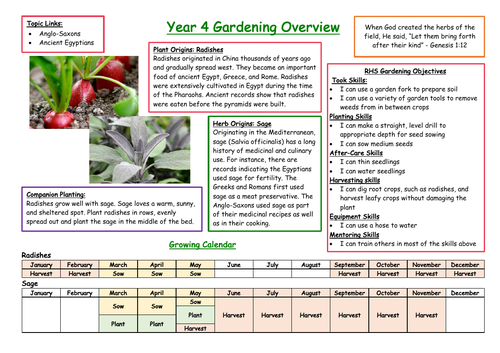 Year 4 Gardening Overview