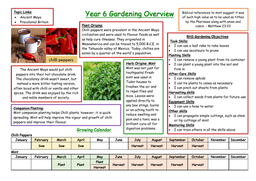 Year 6 Gardening Overview