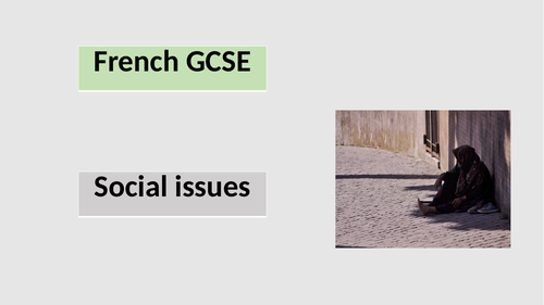 French GCSE Social issues