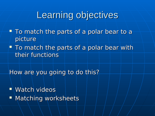 Polar bear needs and adaptation lesson