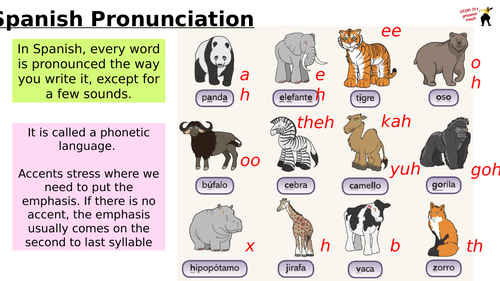 KS3 Spanish Phonics and Accents