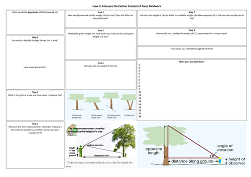 Carbon Fieldtrip Lesson