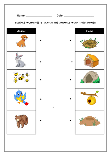 Science Worksheet: Match The Animals with Their Homes