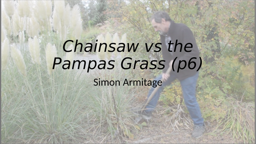 Lesson 2 poems of the decade Chainsaw vs the pampas grass