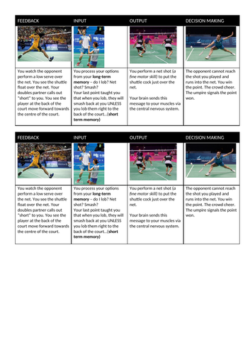 5.2 Information Processing - IB SEHS (SL)