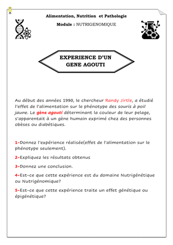 Home work: agouti gene experience/ expérience d'un gène agouti