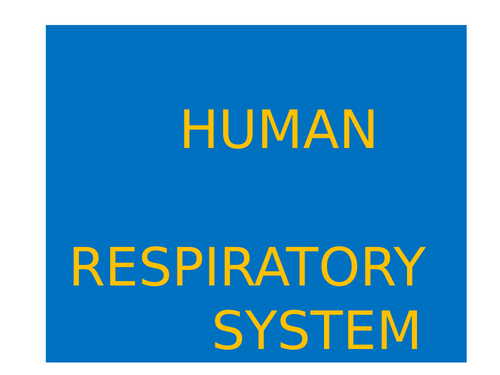 HUMAN RESPIRATORY SYSTEM