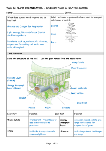 Topic 2 Organisation Revision Packs | Teaching Resources