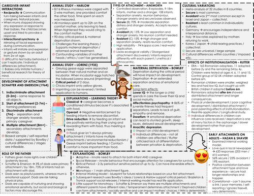 Attachment knowledge organiser