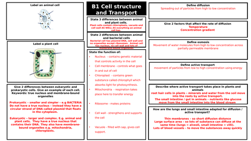 AQA Combined Science Biology Paper 1 Revision mats with answers