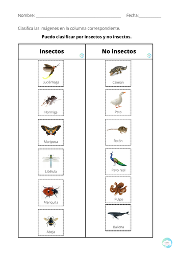 Insectos - No insectos (Actividad de clasificación)