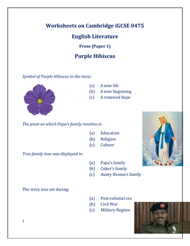 essay questions on purple hibiscus