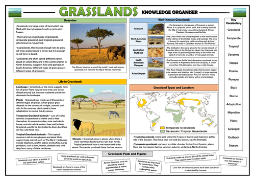 Grasslands Knowledge Organiser!