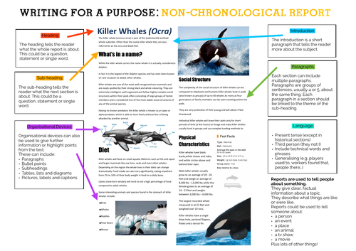 Writing for a Purpose: Non-Chronological Report Overview | Teaching ...