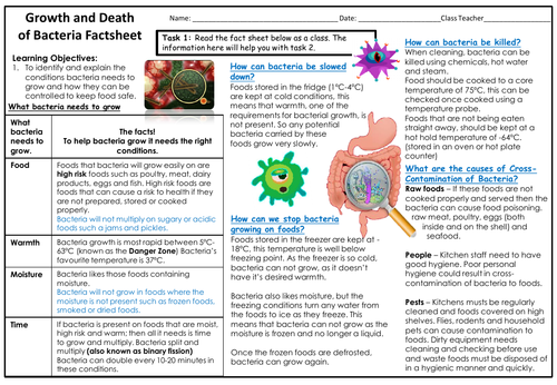 KS3/KS4 Cover Work - Bacteria and Keeping Foods Safe