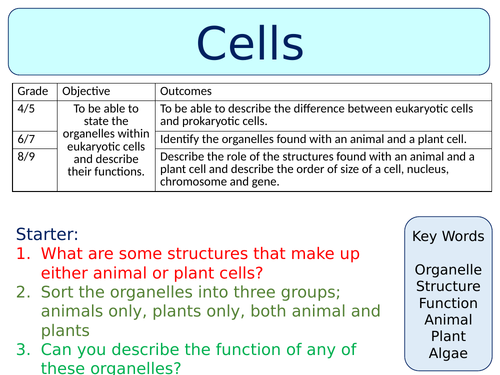 OCR GCSE (9-1) Biology - Cell Structures
