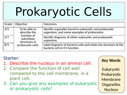OCR GCSE (9-1) Biology - Prokaryotic Cells