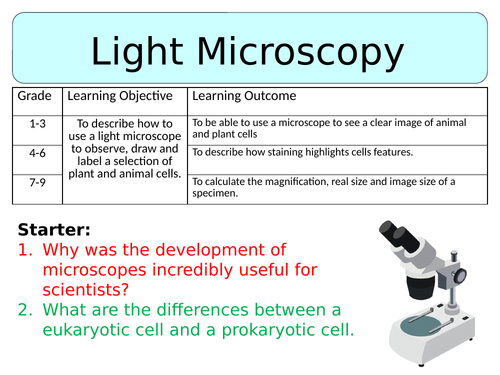 OCR GCSE (9-1) Biology - Light microscopy