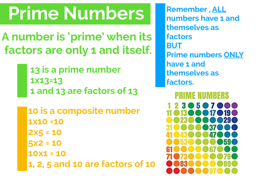 Prime Numbers Explainer