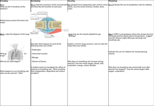 KS3 AQA Biology Movement and Breathing Differentiated Revision Mat
