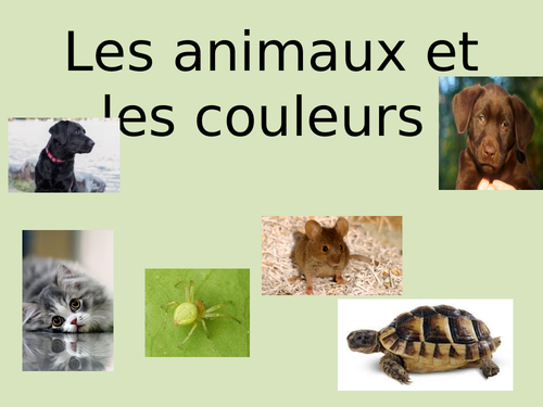 Les animaux et leur couleur.