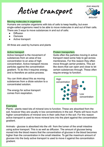 aqa-gcse-biology-active-transport-revision-sheet-teaching-resources