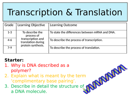 OCR GCSE (9-1) Biology - Transcription & Translation